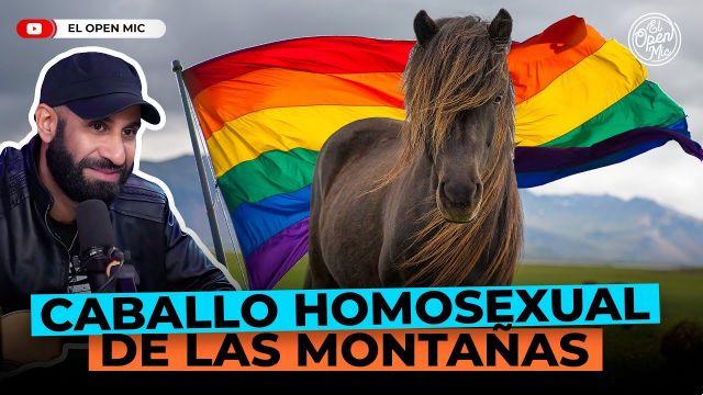 significado de la canción: caballo homosexual de las monta as de karil