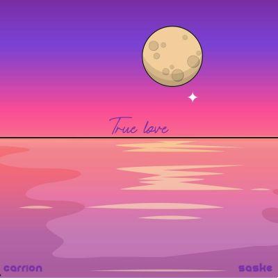 significado de la canción: true love de carrion saske