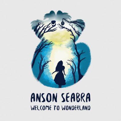 significado de la canción: welcome to wonderland de anson seabra
