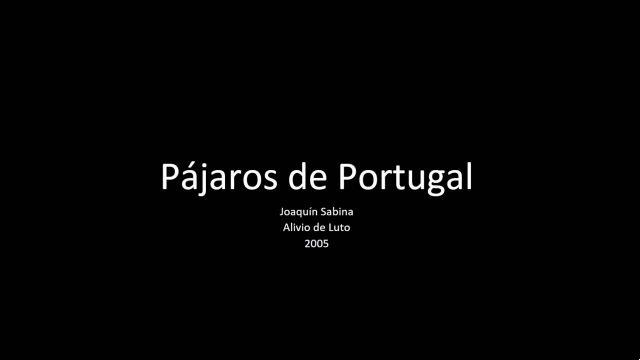 significado de la canción: p jaros de portugal de joaqu n sabina