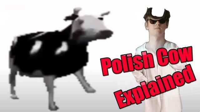 significado de la canción: polish cow de thestupidwaffle
